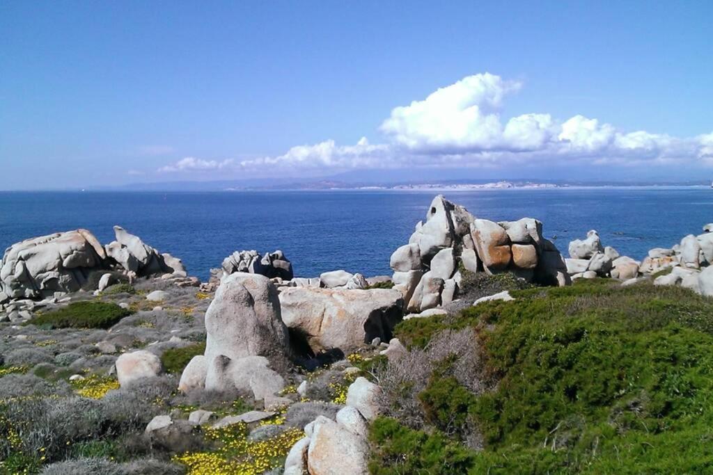 Una Splendida Terrazza Sul Mare Santa Teresa Gallura Zewnętrze zdjęcie